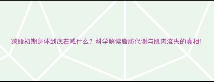 图片 减脂初期身体到底在减什么？科学解读脂肪代谢与肌肉流失的真相1