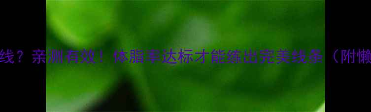 图片 减脂后练马甲线？亲测有效！体脂率达标才能练出完美线条（附懒人跟练计划）