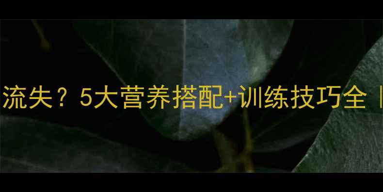 图片 减脂期如何避免肌肉流失？5大营养搭配+训练技巧全｜科学增肌减脂指南2