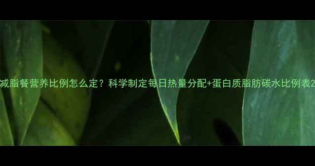 图片 减脂餐营养比例怎么定？科学制定每日热量分配+蛋白质脂肪碳水比例表2