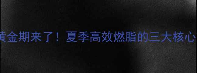 图片 减脂黄金期来了！夏季高效燃脂的三大核心策略2