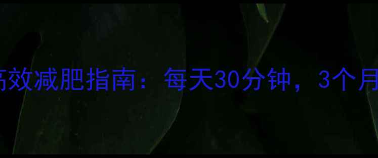 图片 办公室男士高效减肥指南：每天30分钟，3个月甩肉15斤✨2