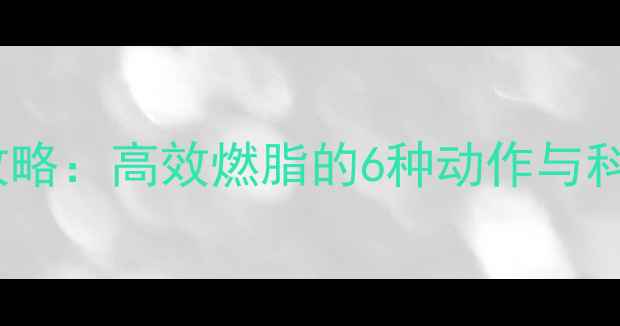 图片 卷腹轮减肥攻略：高效燃脂的6种动作与科学训练指南1