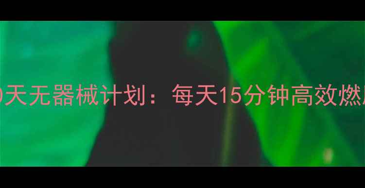 图片 在家减肥30天无器械计划：每天15分钟高效燃脂训练指南