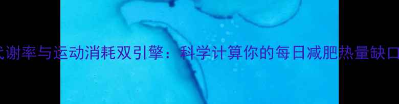 图片 基础代谢率与运动消耗双引擎：科学计算你的每日减肥热量缺口指南2