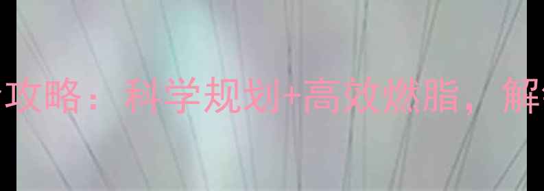 图片 夏天健身减肥全攻略：科学规划+高效燃脂，解锁夏日塑形秘籍