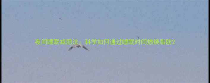 图片 夜间睡眠减肥法：科学如何通过睡眠时间燃烧脂肪2