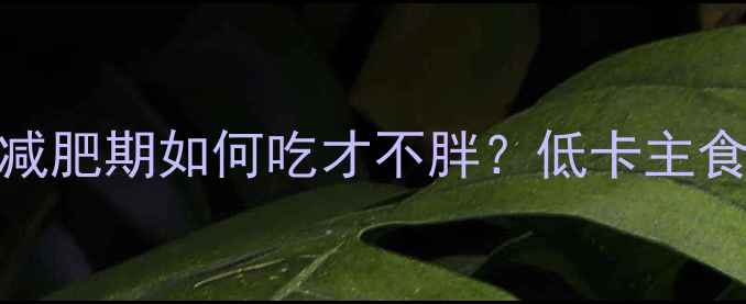 图片 大圆馒头热量：减肥期如何吃才不胖？低卡主食搭配技巧大公开