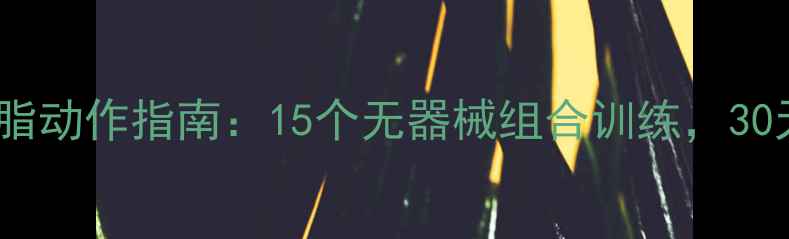 图片 女生居家高效减脂动作指南：15个无器械组合训练，30天塑造紧致身材1