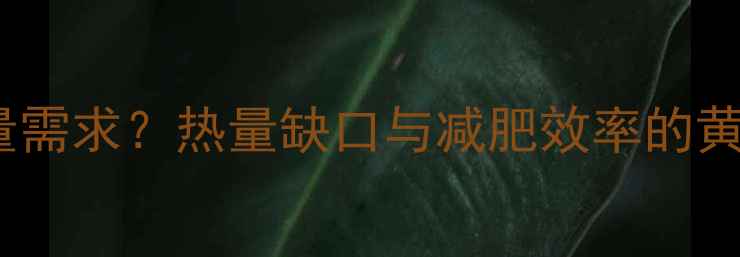 图片 如何科学计算每日燃脂热量需求？热量缺口与减肥效率的黄金公式（附精准计算表）2