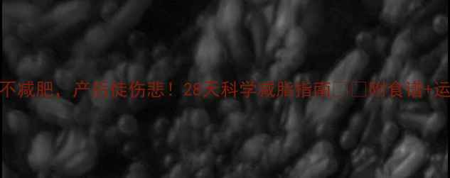 图片 孕期不减肥，产后徒伤悲！28天科学减脂指南🤰💪附食谱+运动表