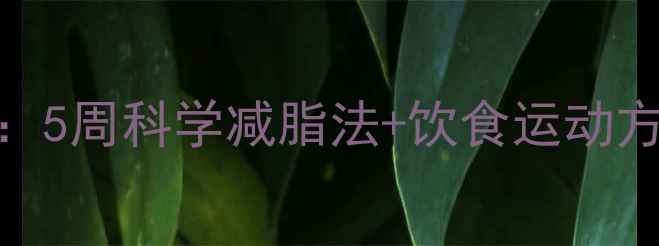 图片 学生党高效减肥指南：5周科学减脂法+饮食运动方案，月减10斤不反弹