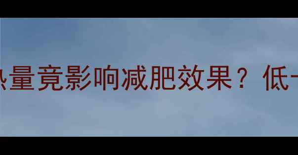 图片 学生减肥必看！一袋饼干的热量竟影响减肥效果？低卡高蛋白饼干推荐及搭配指南