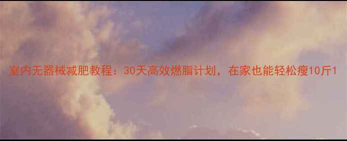 图片 室内无器械减肥教程：30天高效燃脂计划，在家也能轻松瘦10斤1