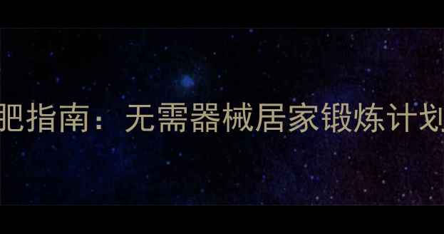 图片 家庭健身减肥指南：无需器械居家锻炼计划+饮食管理2