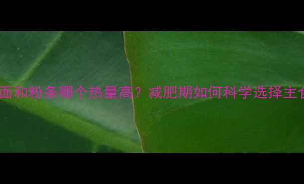 图片 寿面和粉条哪个热量高？减肥期如何科学选择主食1