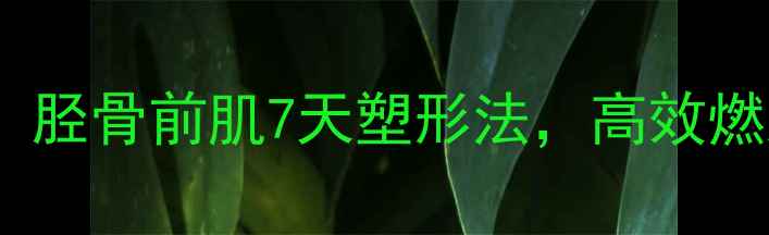 图片 小腿减肥必练！胫骨前肌7天塑形法，高效燃脂瘦腿不反弹1