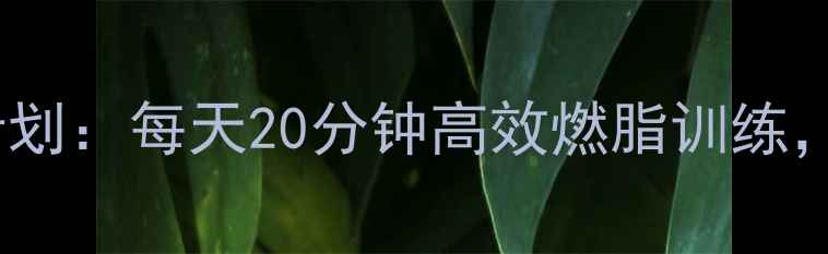 图片 居家30天科学减脂计划：每天20分钟高效燃脂训练，轻松甩掉10斤赘肉1