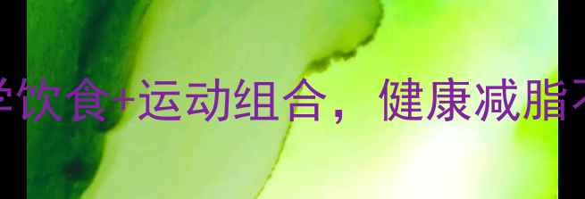 图片 居家减肥7天高效计划：科学饮食+运动组合，健康减脂不反弹（附详细执行方案）2