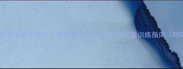 图片 居家减肥必练30个徒手动作｜每周瘦5斤的亲测有效燃脂训练指南（附动作图解）2