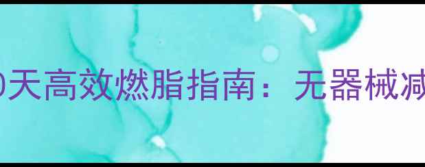 图片 居家徒手训练30天高效燃脂指南：无器械减脂塑形全攻略1