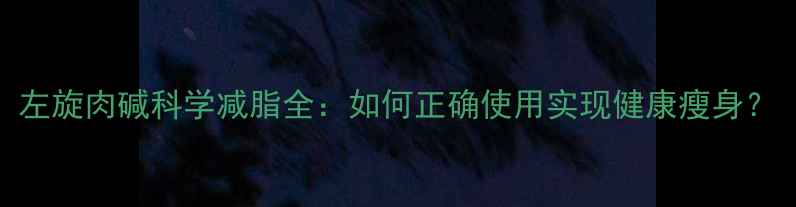 图片 左旋肉碱科学减脂全：如何正确使用实现健康瘦身？