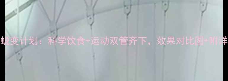 图片 广州30天蜕变计划：科学饮食+运动双管齐下，效果对比图+附详细计划表