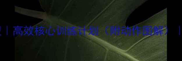 图片 快速减脂瘦腰腹｜高效核心训练计划（附动作图解）｜30天腰围小1圈