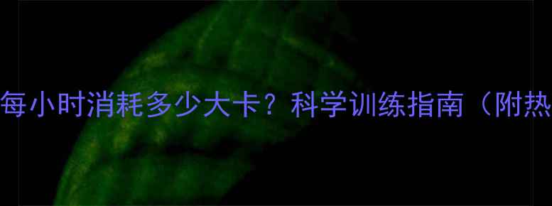 图片 拳击减肥效果怎么样？每小时消耗多少大卡？科学训练指南（附热量计算表+训练计划）1