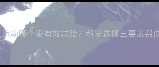 图片 无氧运动和有氧运动哪个更有效减脂？科学选择三要素帮你找到最佳方案2