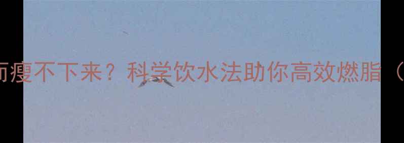 图片 晚上运动后喝水多反而瘦不下来？科学饮水法助你高效燃脂（附运动补水全攻略）2