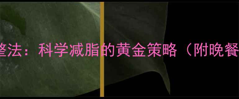 图片 晚餐时间调整法：科学减脂的黄金策略（附晚餐搭配方案）1