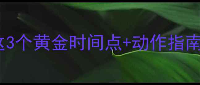 图片 晚饭后运动减肥？这3个黄金时间点+动作指南，让你瘦到尖叫💥2