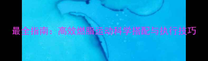 图片 最全指南：高效燃脂运动科学搭配与执行技巧