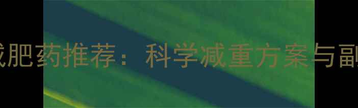 图片 最安全有效的减肥药推荐：科学减重方案与副作用规避指南1