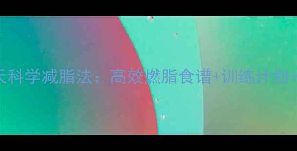 图片 最新减肥指南28天科学减脂法：高效燃脂食谱+训练计划+生活习惯全攻略2
