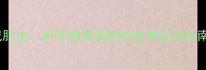 图片 每天10分钟拉伸减肥法：科学燃烧脂肪的拉伸运动指南（附详细动作）2