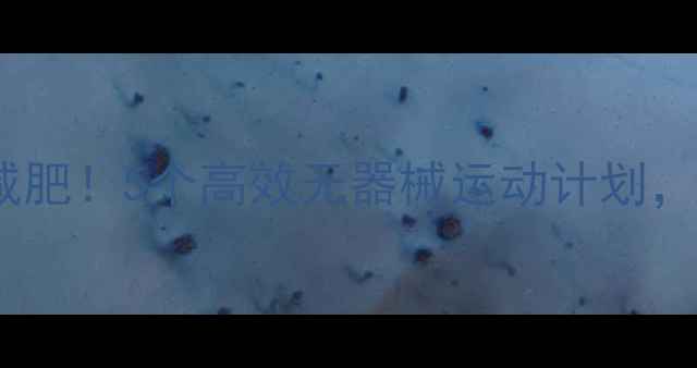图片 每天半小时在家减肥！5个高效无器械运动计划，懒人也能轻松瘦2