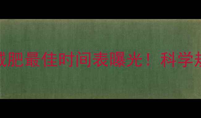图片 每天运动1小时？减肥最佳时间表曝光！科学规划让你高效燃脂1