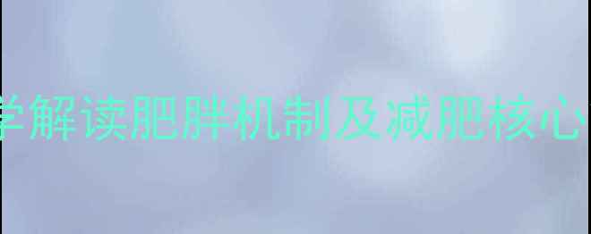 图片 热量摄入如何影响体重？科学解读肥胖机制及减肥核心策略（附每日热量计算表）1