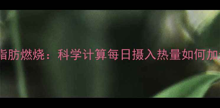 图片 热量缺口与脂肪燃烧：科学计算每日摄入热量如何加速减脂进程2