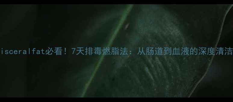 图片 甩掉visceralfat必看！7天排毒燃脂法：从肠道到血液的深度清洁攻略1