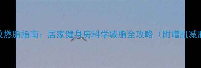 图片 男人高效燃脂指南：居家健身房科学减脂全攻略（附增肌减脂食谱）