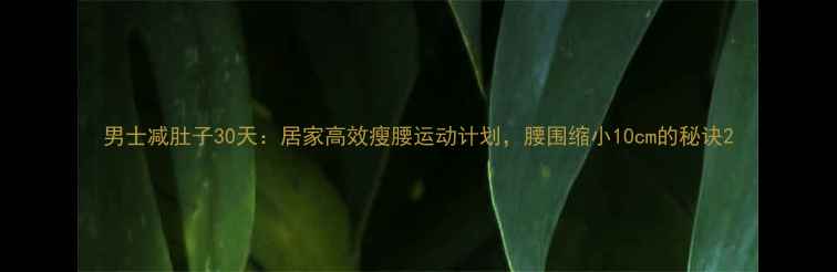 图片 男士减肚子30天：居家高效瘦腰运动计划，腰围缩小10cm的秘诀2