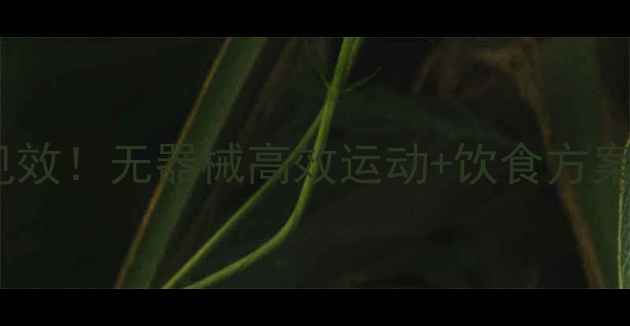 图片 男士居家瘦腿7天见效！无器械高效运动+饮食方案+按摩技巧全攻略2