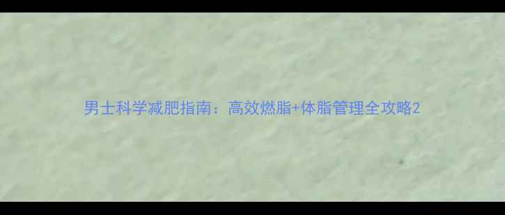 图片 男士科学减肥指南：高效燃脂+体脂管理全攻略2