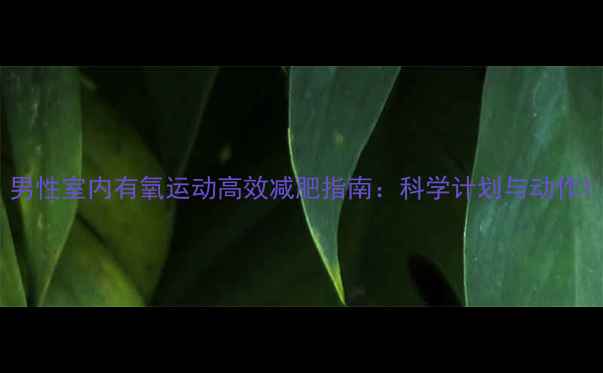 图片 男性室内有氧运动高效减肥指南：科学计划与动作1