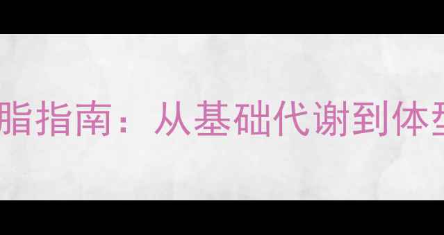 图片 男生3个月科学减脂指南：从基础代谢到体型重塑的完整方案