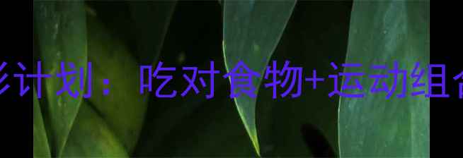 图片 瘦人减肥必看！3周减脂塑形计划：吃对食物+运动组合，轻松告别小基数减肥难1