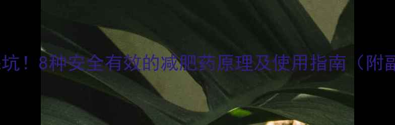 图片 科学减肥不踩坑！8种安全有效的减肥药原理及使用指南（附副作用清单）2